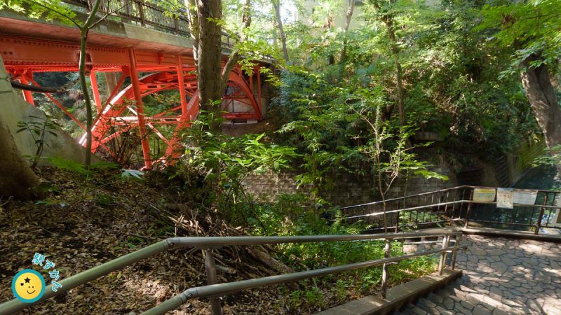 ゴルフ橋と等々力渓谷