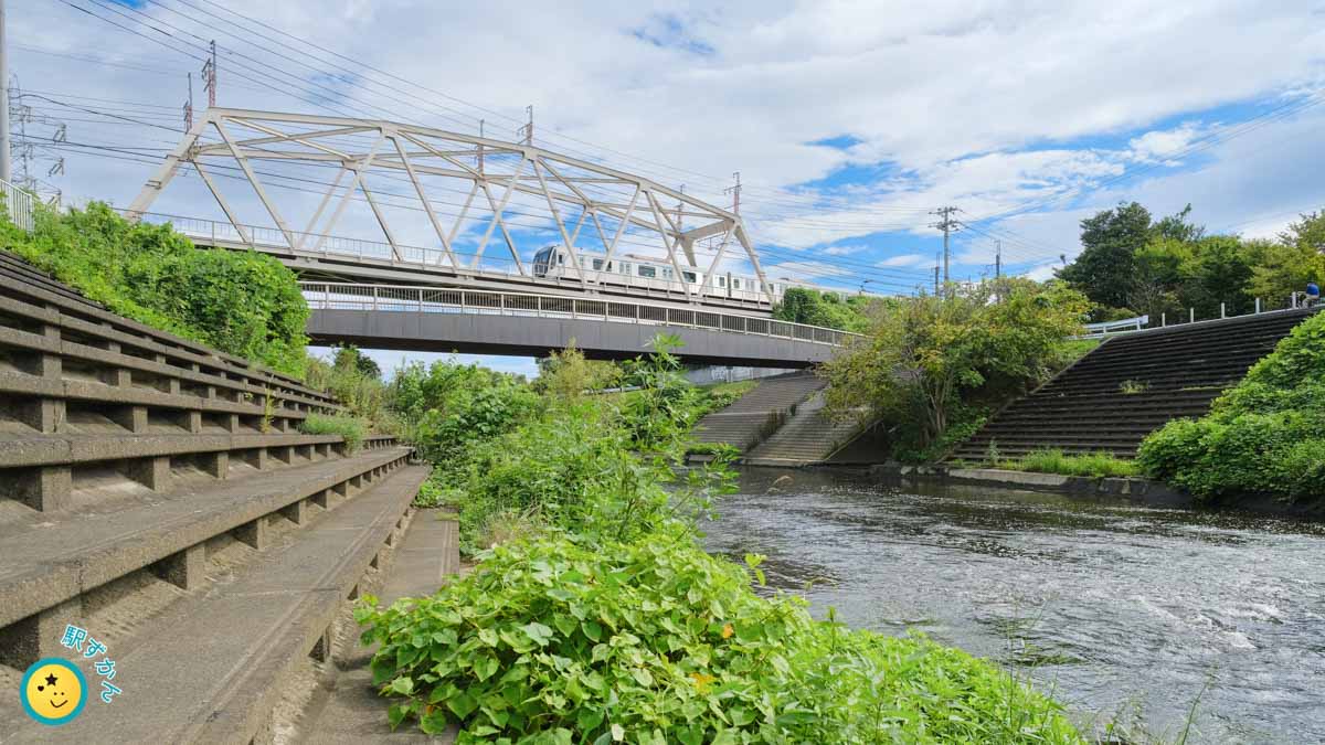 鶴見川と田園都市線の電車