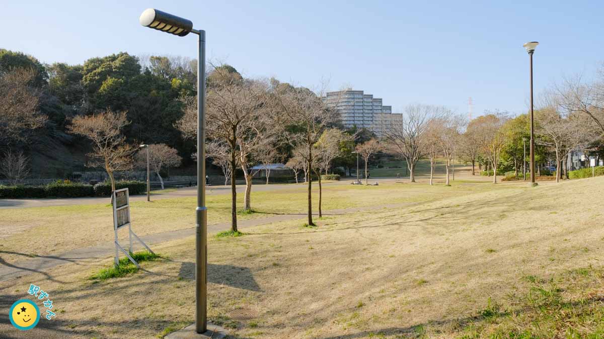 山田富士公園の広場