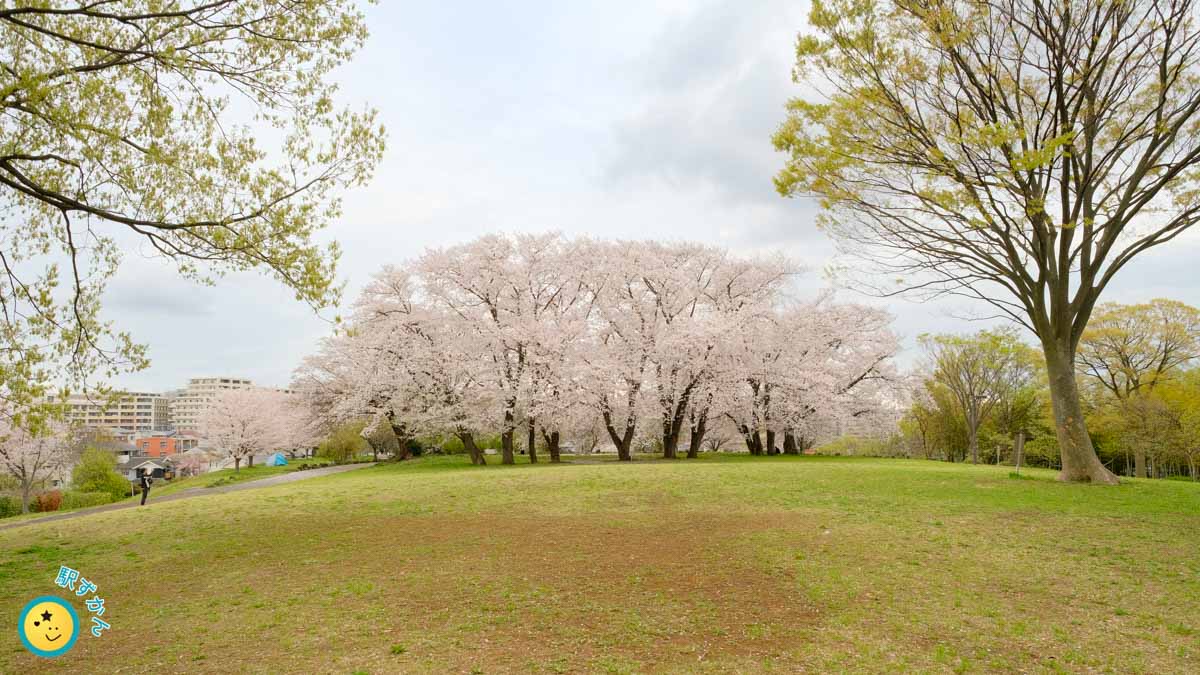 中川八幡山公園の山頂