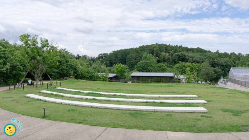 町田薬師池公園 四季彩の杜 西園 芝生広場