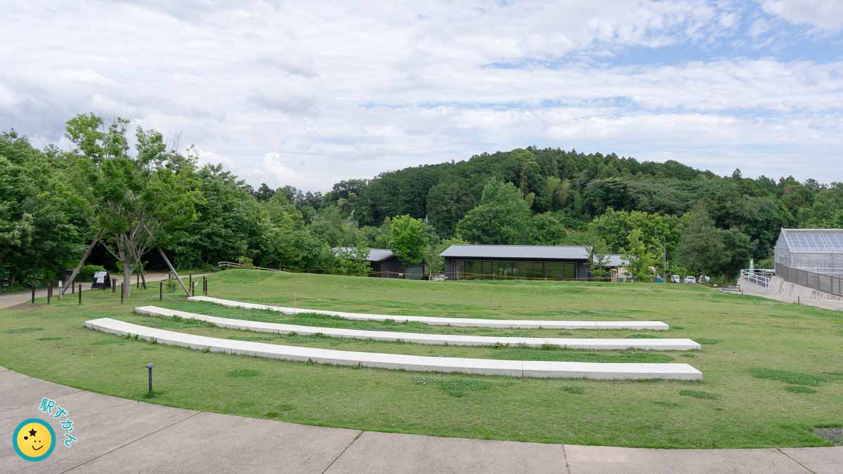 町田薬師池公園 四季彩の杜 西園 芝生広場