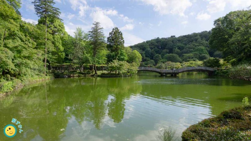 薬師池（旧福王寺溜池）とタイコ橋