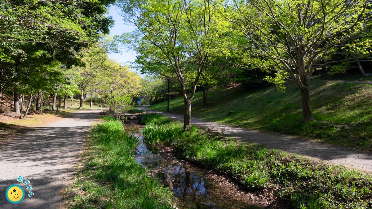 草笛の道の小川