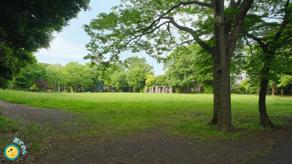 葛ヶ谷公園の広場