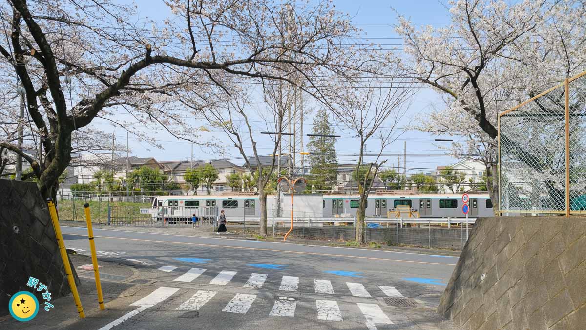 田園都市線2020系と満開の桜