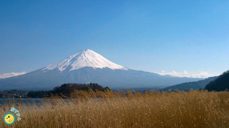 富士山と河口湖