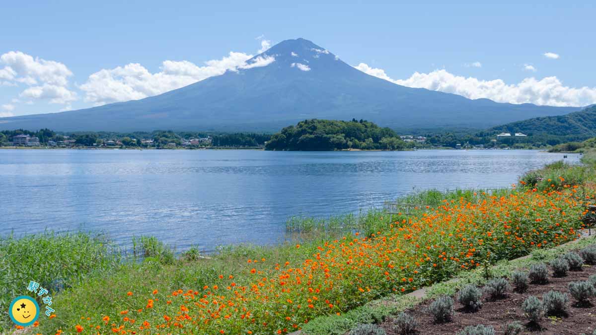 河口湖と夏の富士山