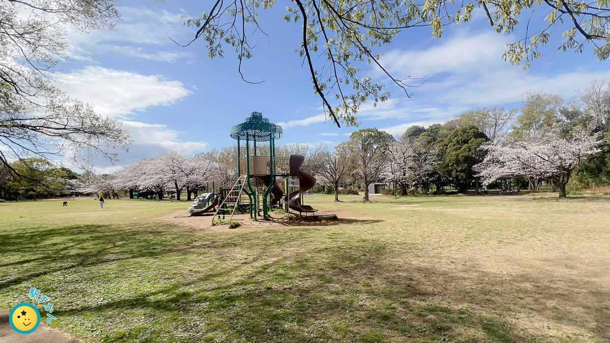 菅生緑地の遊具