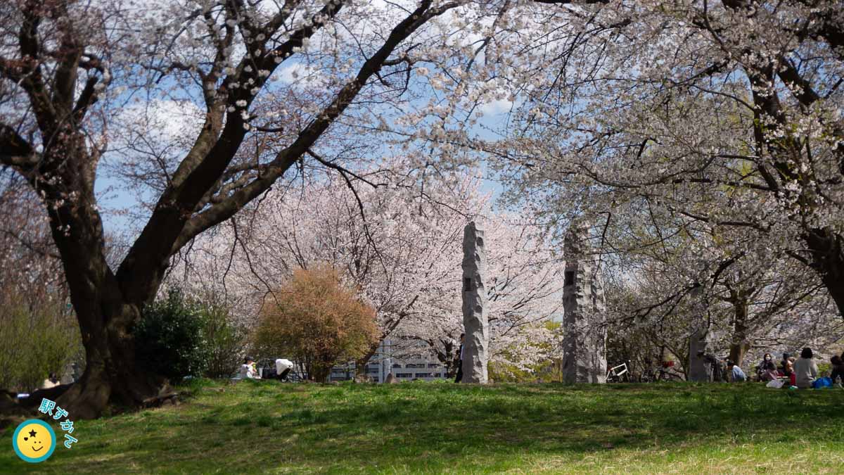 広場の石塔と桜