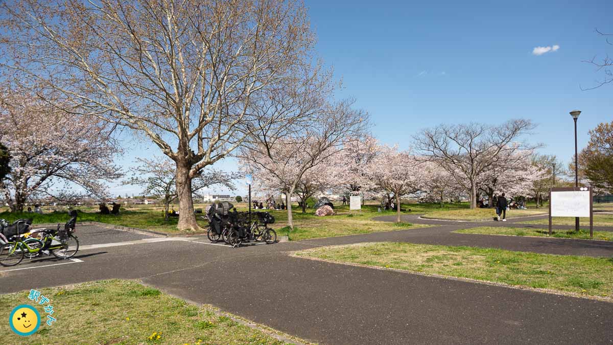 稲城北緑地公園の広場と駐輪場