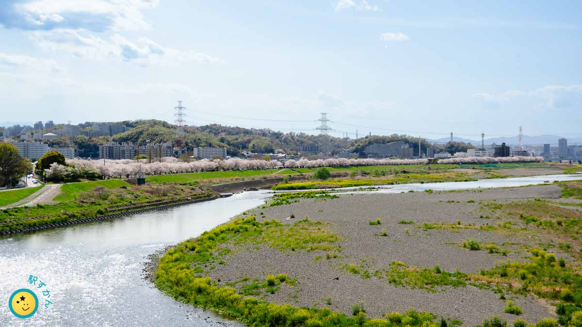 稲城大橋より、多摩川と稲城北緑地公園