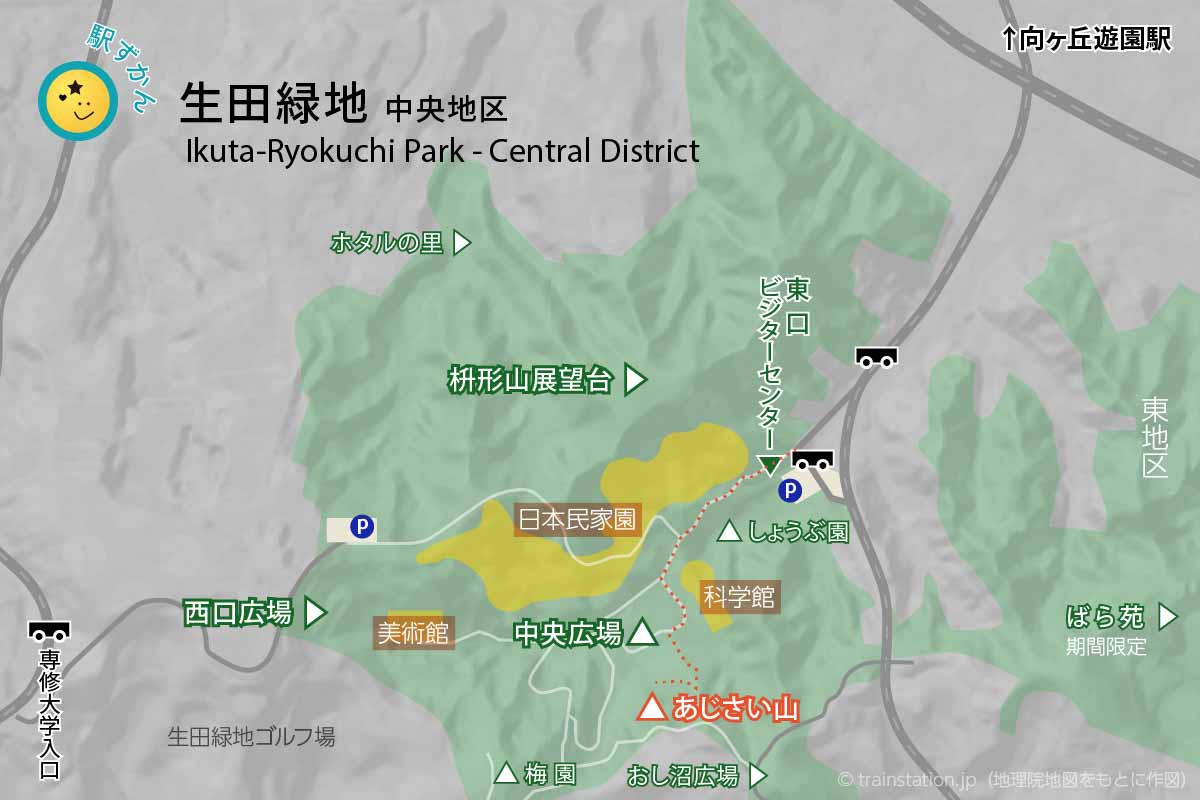 生田緑地 中央地区 あじさい山