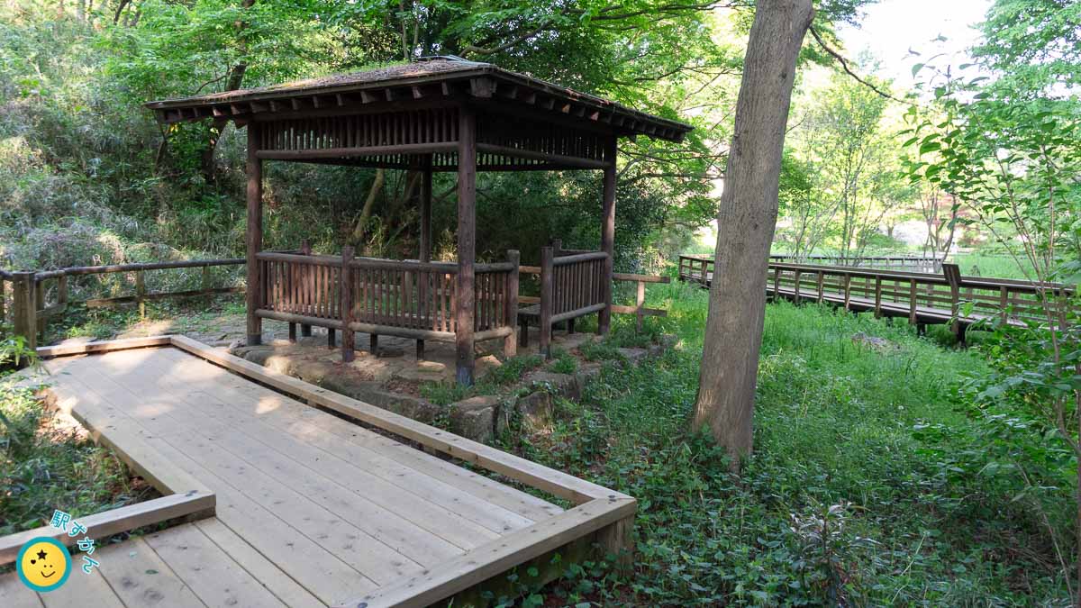 水生植物鑑賞池 生田緑地南地区
