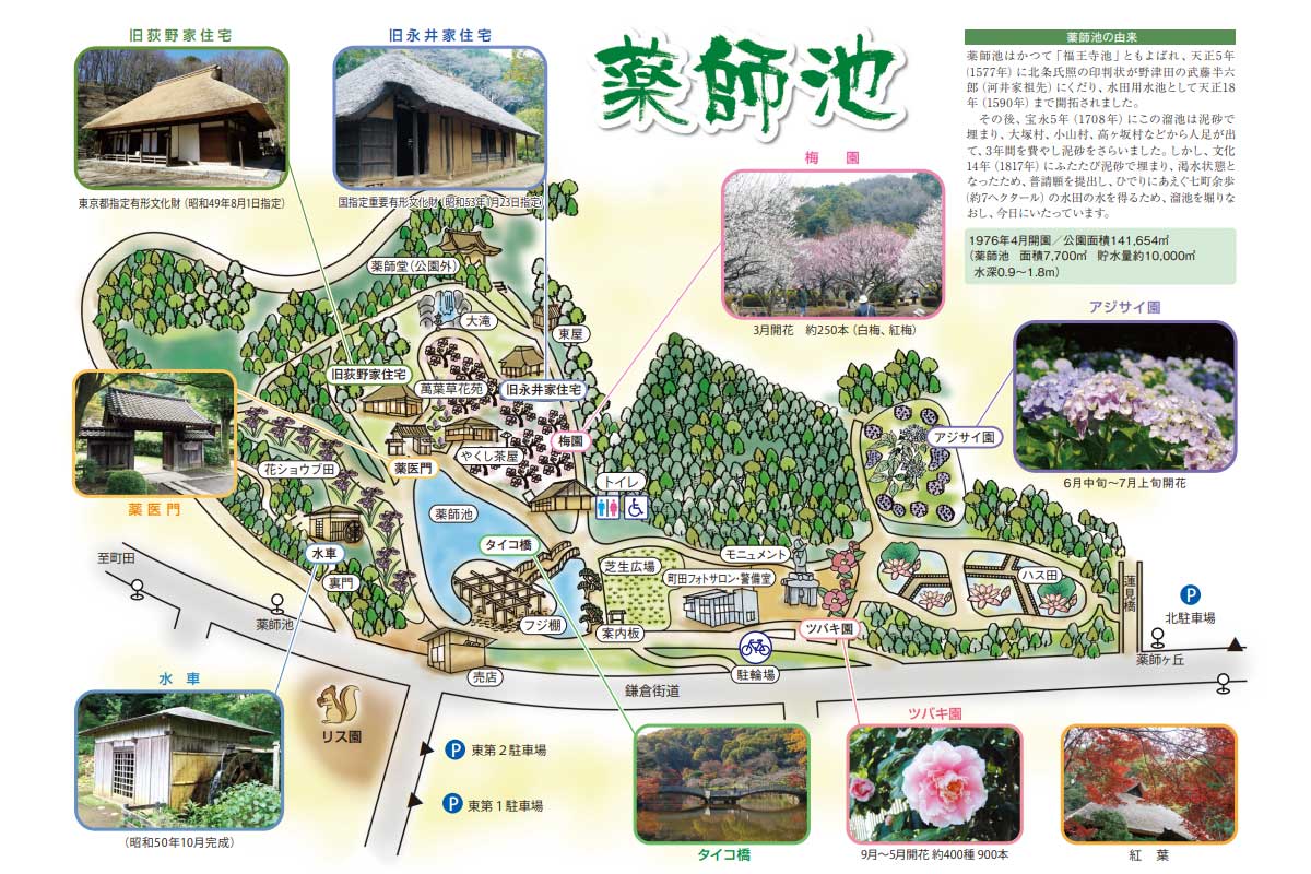 薬師池公園マップ