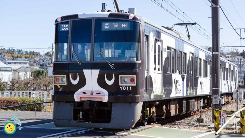 こどもの国線Y000系の牛ラッピング電車