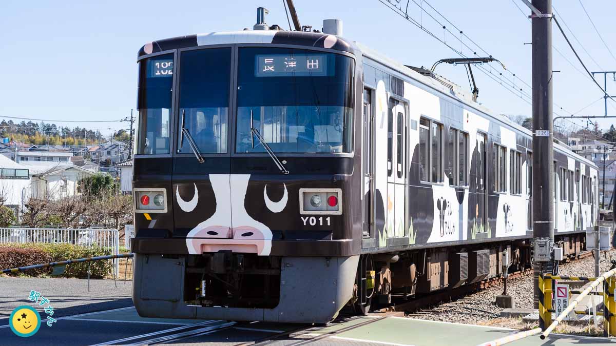 こどもの国線Y000系の牛ラッピング電車
