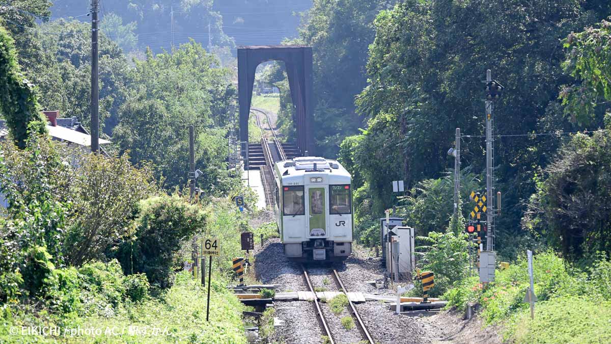 非電化区間の森林を走る八高線車両