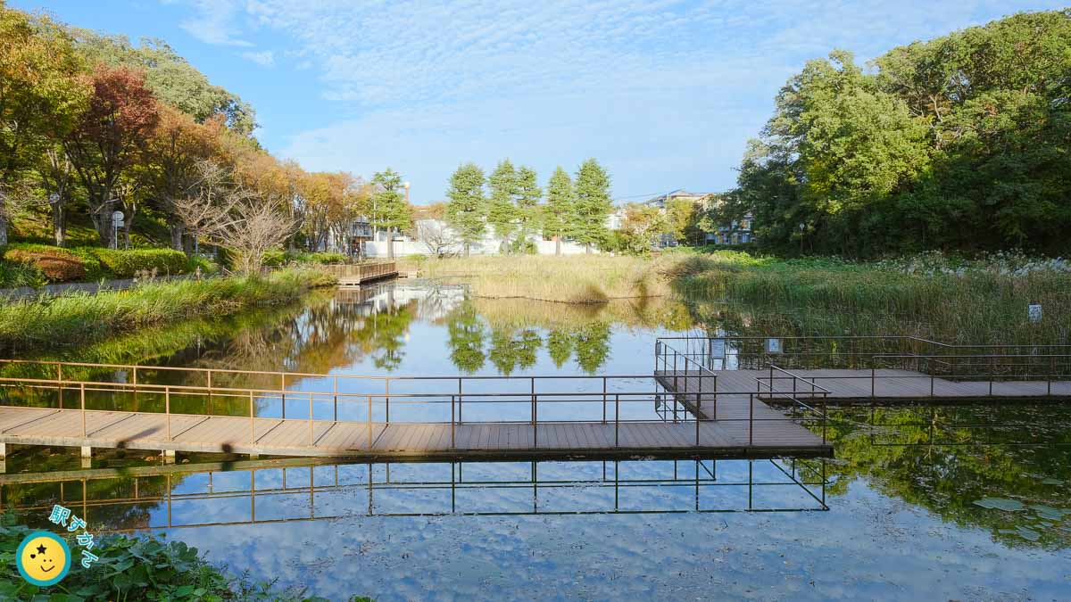 もえぎ野公園,横浜市青葉区で一番広い池
