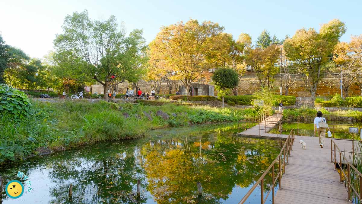 紅葉中のもえぎ野公園