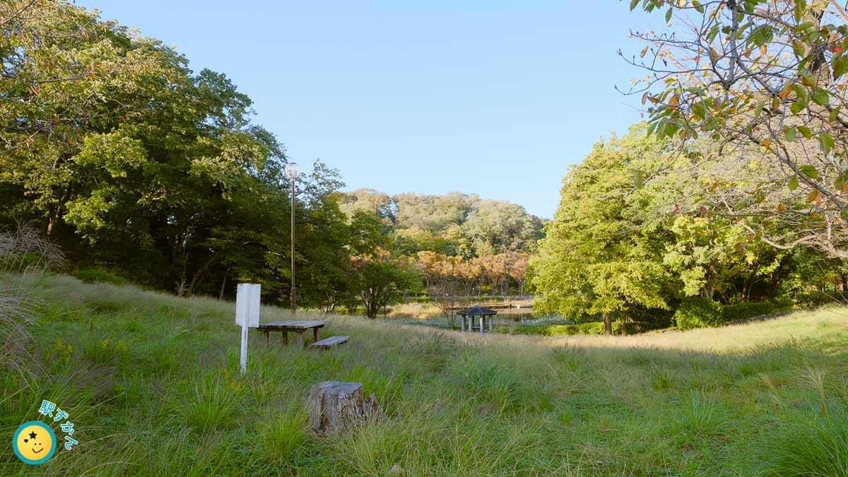 公園内の丘の上