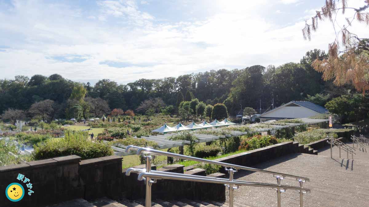 生田緑地ばら苑の全景