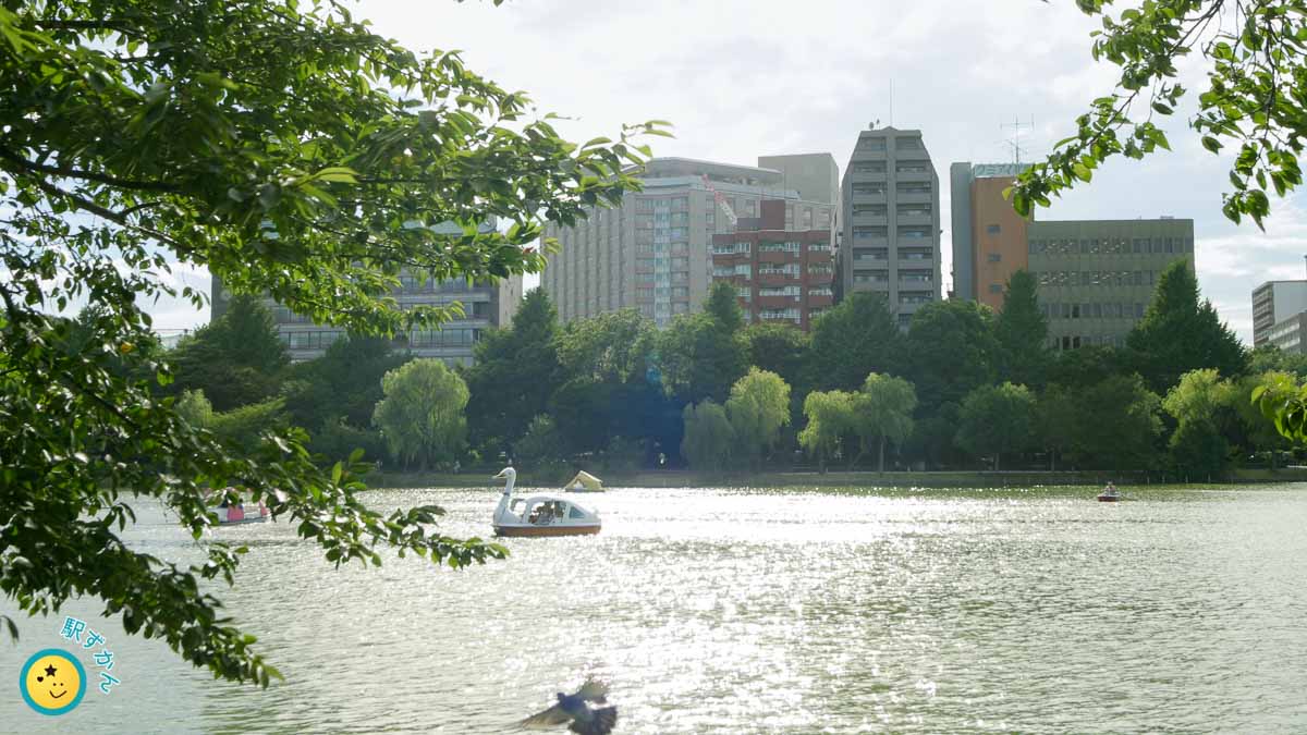 上野恩賜公園 不忍池