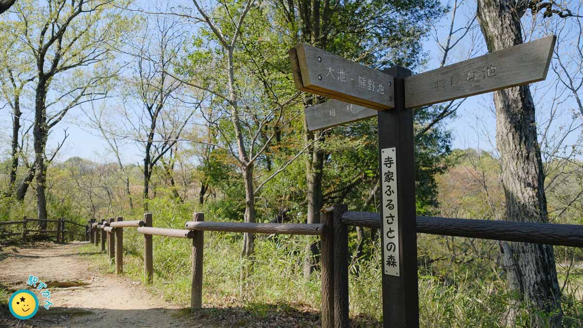 寺家ふるさと森の散策路