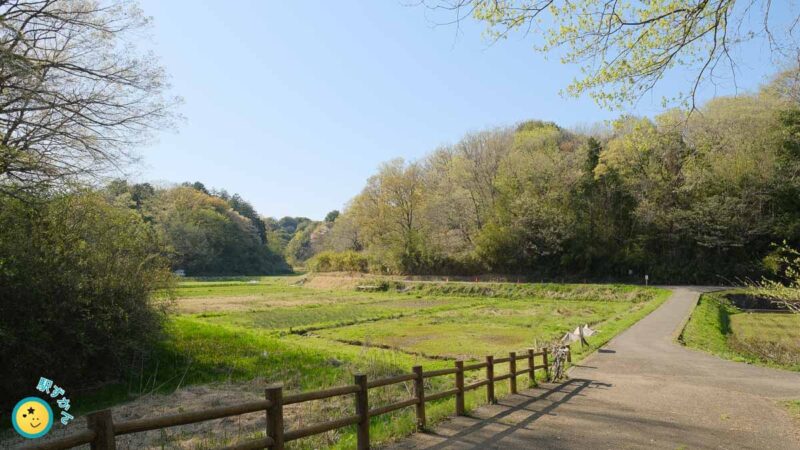 寺家ふるさと村の田んぼ