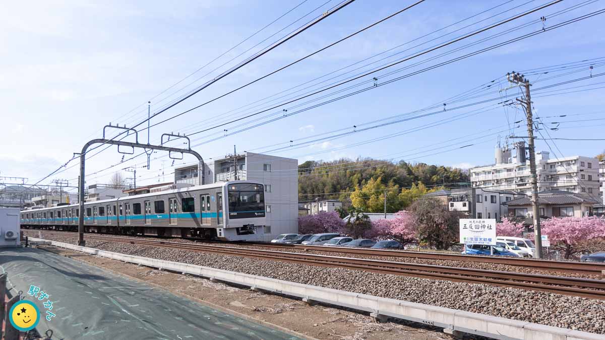 小田急線の電車と桜並木