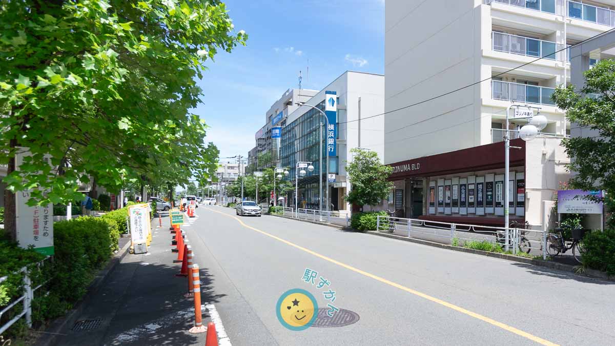ユリノキ通り