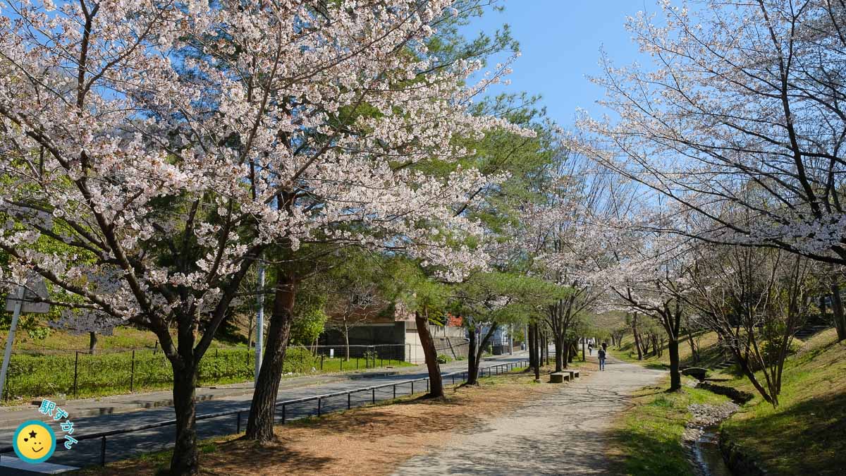 ふじやとのみち