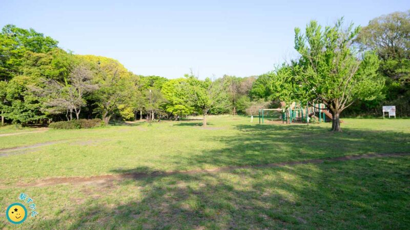 菅生緑地東地区の広場、春