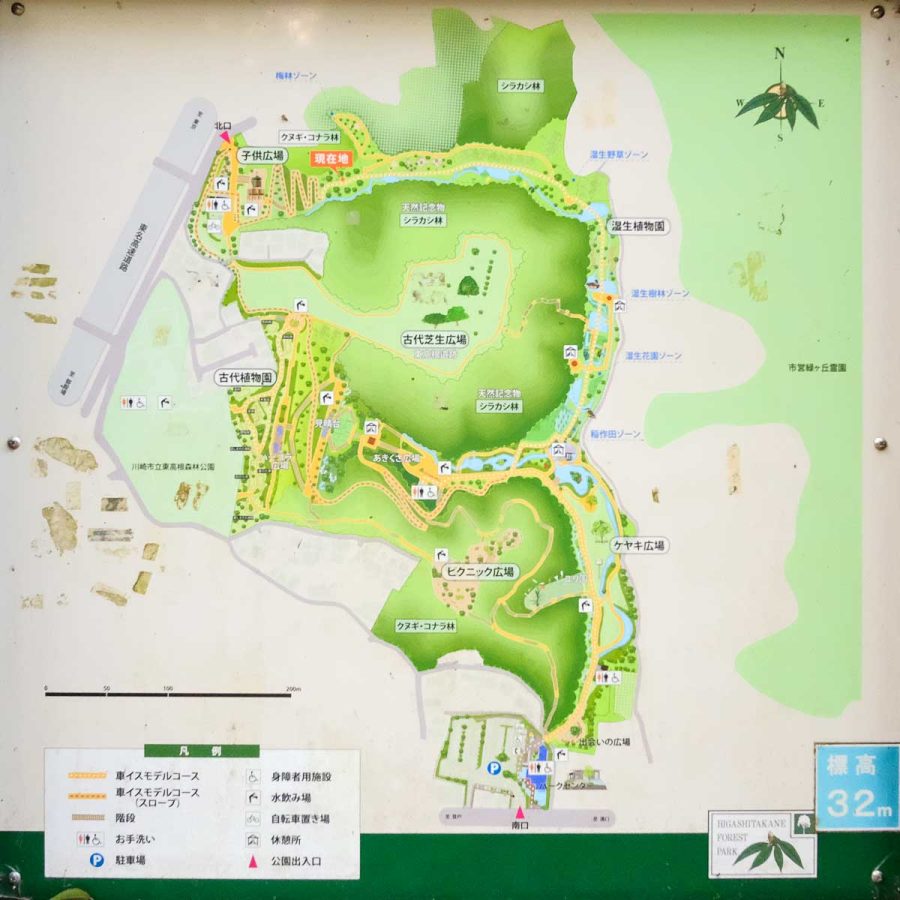 神奈川県立 東高根森林公園マップ