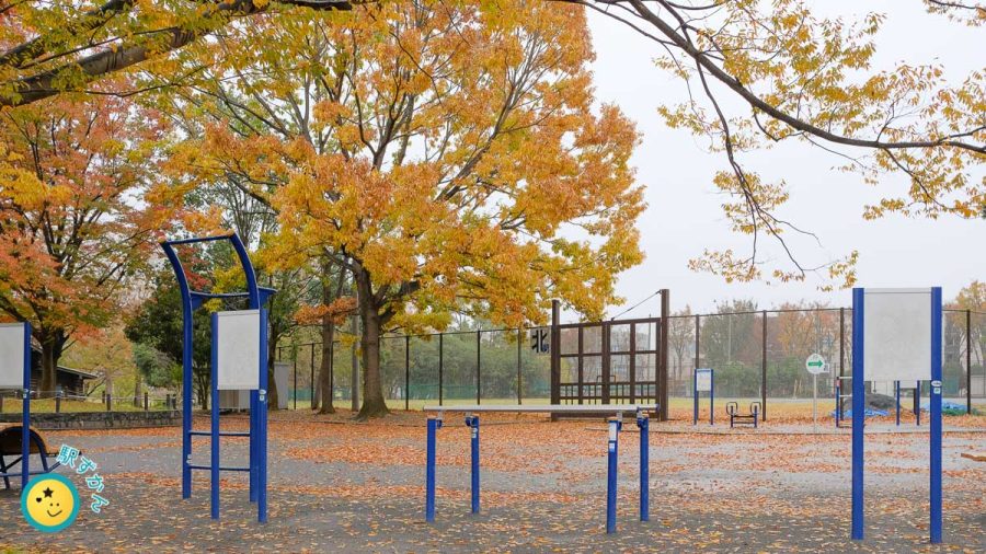 美しが丘公園野球場