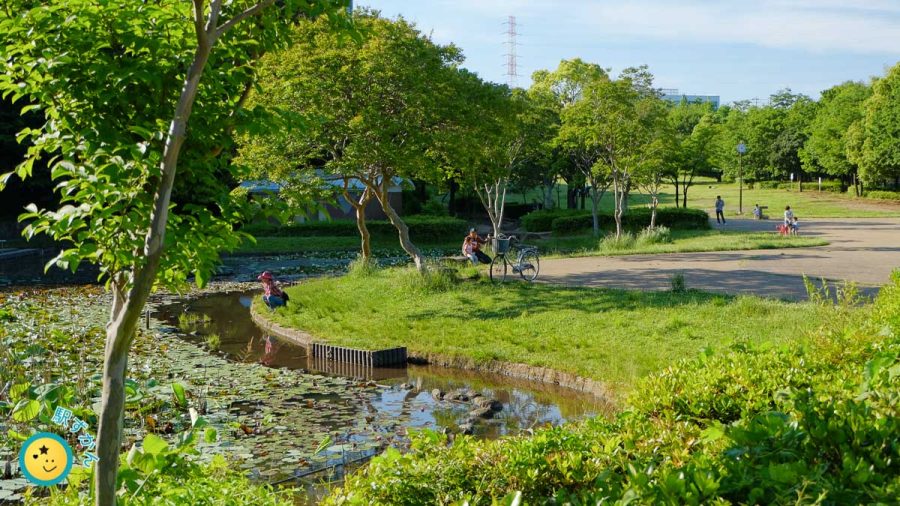 山田富士公園の池と広場
