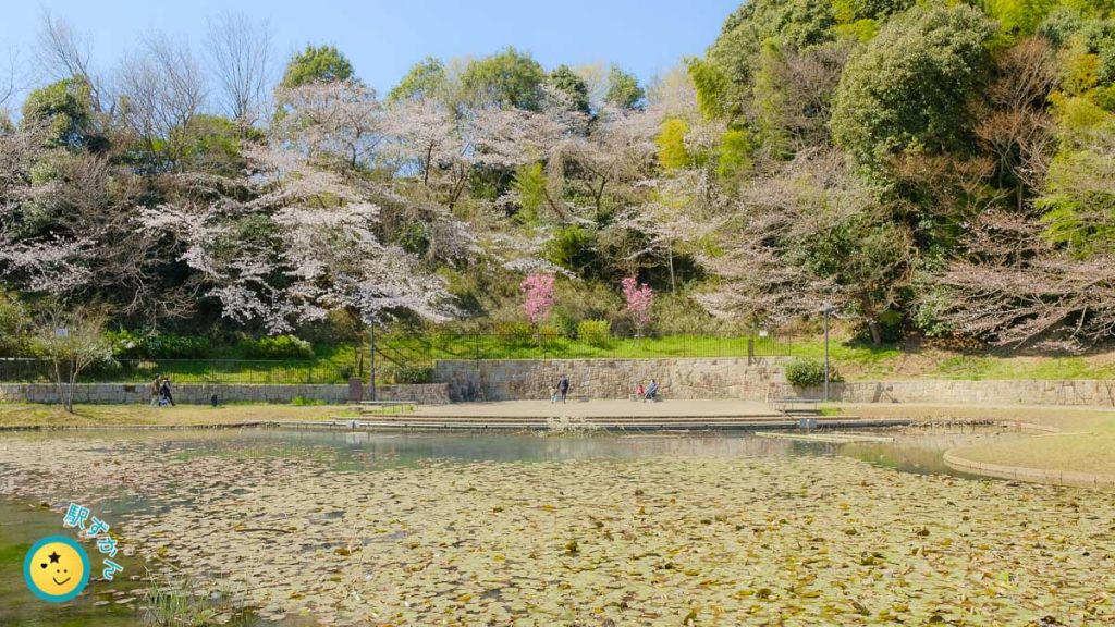 山田富士公園写真ガイド:北山田駅近く富士塚のある緑地