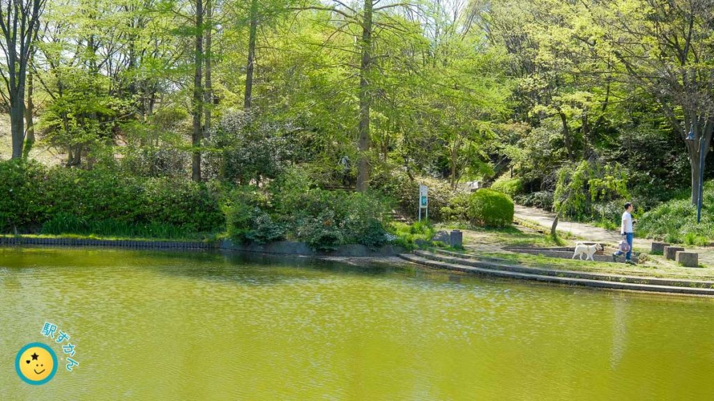 山崎の池